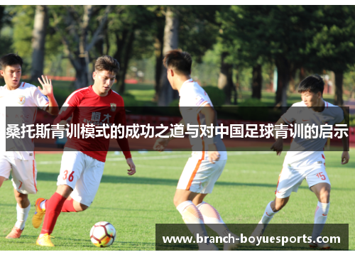 桑托斯青训模式的成功之道与对中国足球青训的启示