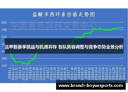 法甲新赛季挑战与机遇并存 各队阵容调整与竞争态势全景分析