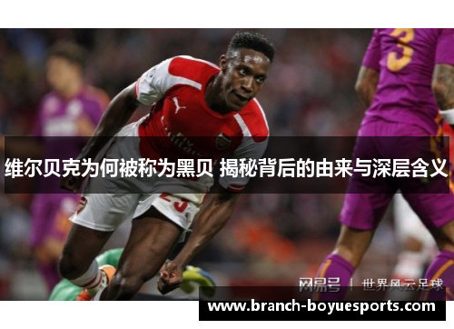 维尔贝克为何被称为黑贝 揭秘背后的由来与深层含义