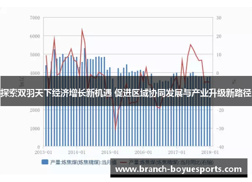 探索双羽天下经济增长新机遇 促进区域协同发展与产业升级新路径