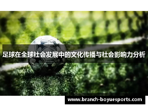 足球在全球社会发展中的文化传播与社会影响力分析