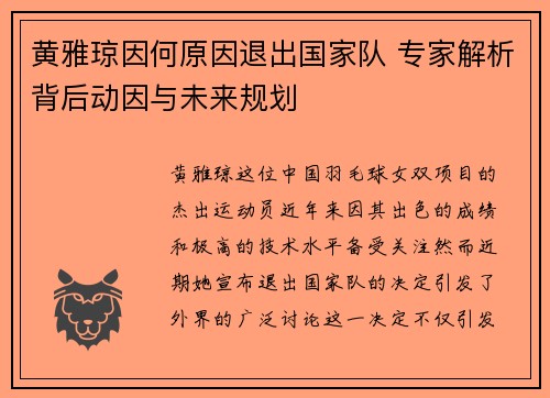 黄雅琼因何原因退出国家队 专家解析背后动因与未来规划